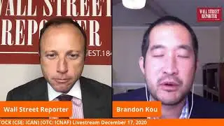 NEXT SUPER STOCK Live!: Logiq (OTC: LGIQ) & Icanic Brands (CSE: ICAN) (OTC: ICNAF)