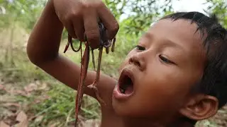 Primitive Technology -  Catch N Cook Earthworms - Brave Wilderness