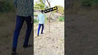 કમાલનું મેજિક એડિટ | ગુજરાતી VFX વિડિયો 😲Kamalnu Magic Edit | Gujarati VFX Video😲#shorts#shortsfeed