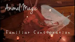 Animal Magic || A Familiar Consecration Spell