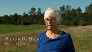 Conservation Planning