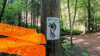 Kleine Wilddiebsroute im Extertal Lipperland