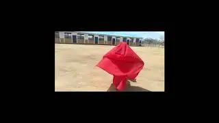 Danza Yonna_De la &eacute;tnia Wayuu