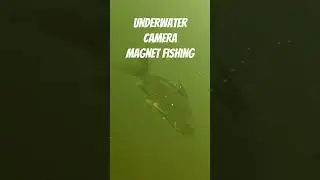 UNDERWATER MAGNET FISHING: Chemung River, Corning, NY Under Bridge Street Bridge with Fishy Friends!