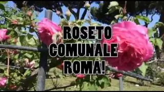 Roseto Comunale Roma