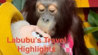Labubu&rsquo;s Travel Highlights 