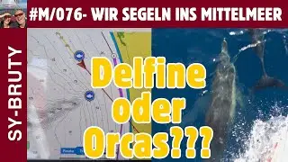 #M/076 - Delfine oder Orcas auf dem Weg nach Sines? Das ist hier die Frage!