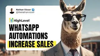 Ultimate Guide to WhatsApp Integration in Go High Level