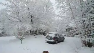 New Hampshire snow beauty-12/23/'11: Lucky Two, Billie, Olympia, and a Terrified Mole
