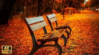 Autumn 4K UltraHD Slideshow with Classic and Ambient Music