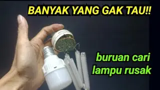 Gara Gara video ini, Jutaan Orang Berburu LAMPU RUSAK ‼️