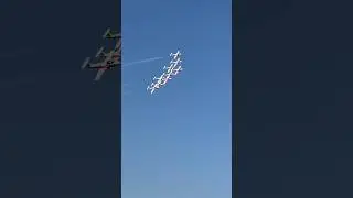 Canadian Forces Snowbirds at 