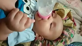 zamyan majaran