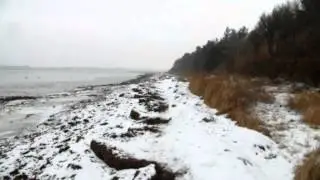 Walking by Isefjorden, (Hornsherred Denmark) at vintertime