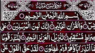 Surah Yasin Surah Rahman | Beautiful Recitation Surah Yaseen Surah Rahman Full | Quran Tilawat | 183