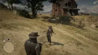 Red Dead Redemption 2 Quick Draw