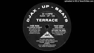A1 - 916 Buena Avenue (Influenza Mix)
