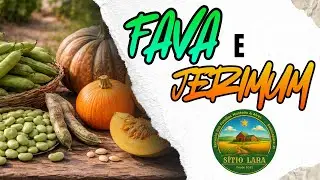🌱 Plantando Fava e Jerimum no S&iacute;tio Lara pra Semana Santa!