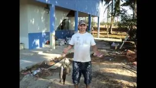p&eacute; de macaco 3.mp4