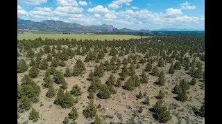 Tax Lot 200 Park Lane aerial tour