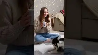 Под звуки праздника, аромат кофе и взгляд хаски