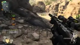 Blazinwig - Black Ops II Game Clip