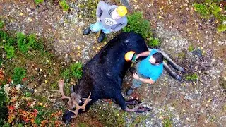 The Great Maine Moose Hunt | 2020