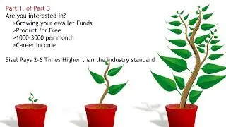 Sisel Business Opportunity Part 1 of 3.  Setting the stage for success.