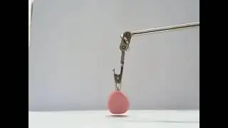 Squash & Stretch Experiment | Clay Stop Motion Animation