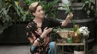 REVIVAL RUNWAY Melbourne Story fashion film 2019