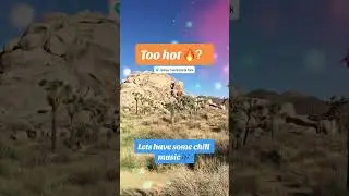 #summer is approaching🔥. Definitely need some #chill #music to stay #cool😆#joshuatree #california