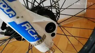 Bike Check Duncon cane corso 2007