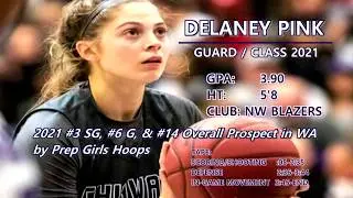 Delaney Pink College Basketball Recruiting Video - Class of 2021