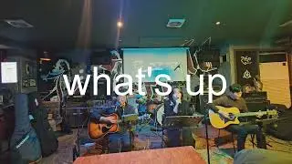 댄스몽키&왓츠업/dance monkey & what's up / 로꼬꼬 / 레드제플린