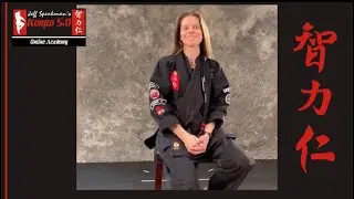 JS Kenpo 5.0 Online Academy FAQ: I'm already ranked in MA, Do I have to start as a white belt?