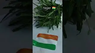 Niger flag | Art 2 love | #art #shorts #niger