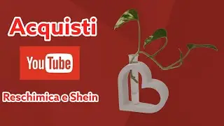 Acquisti Reschimica e Shein