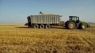 Big Team Summer Harvest (Boly MG Zrt.,Bojr&aacute;d MG Zrt.