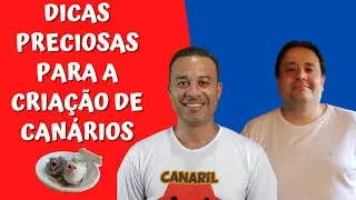 DICAS PRECIOSAS SOBRE A CRIA&Ccedil;&Atilde;O com Dr. Marcelo Maluf