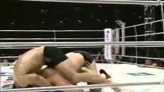UFC / Pride Brazilian Top Team