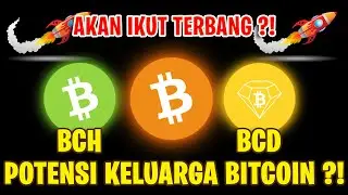 POTENSI BCH DAN BCD COIN DARI KELUARGA BITCOIN GIMANA ? AKAN TERBANG APA DUMP LAGI ?!