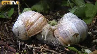 Angelgew&auml;sser in Lugau