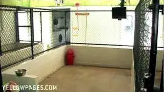 Apex Pet Care Town & Country Animal Care Center