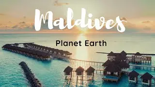 Maldives - A dream destination | Trailer