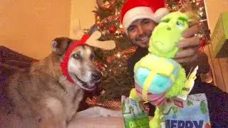 Lucy The Doghter&rsquo;s Unboxing - The Grinch BarkBox!