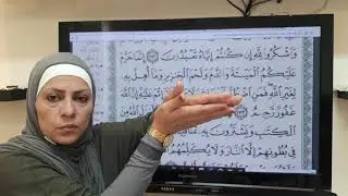 سورة البقرة ص٢٦