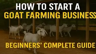 How to Start a Goat Farming Business: Beginners' Complete Guide
