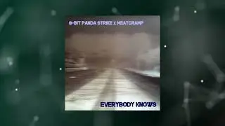 8-Bit Panda Stike and MeatCramp - Everybody Knows