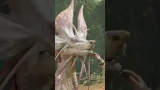 Petting Mizutsune
