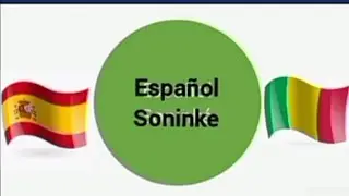 Frases en afirmativo y negativo lección:53